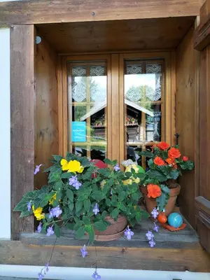 a group of flowers in pots on a window sill at le Montagny in Les Houches