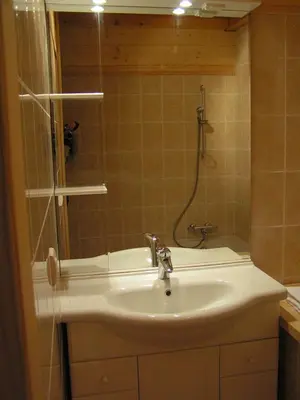 a bathroom with a sink and a shower at Chalet des Cascades in Sixt