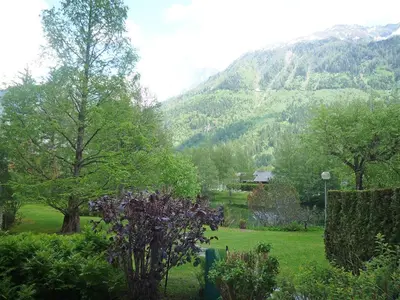a green field with trees and mountains in the background at Apartment Champraz-7 by Interhome in Chamonix-Mont-Blanc