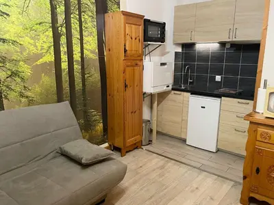 a room with a couch in front of a forest mural at Apartment Le Savoisien by Interhome in Chamonix-Mont-Blanc