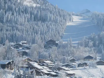 a small village covered in snow with a mountain at Chalet Les Trappeurs in Les Carroz d'Araches