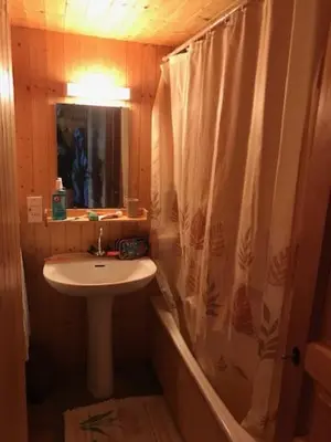 a bathroom with a sink and a shower curtain at CHALET DES NEIGES in Les Carroz d'Araches