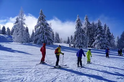 a group of people on skis in the snow at Chalet Hôtel du Bois in Les Houches