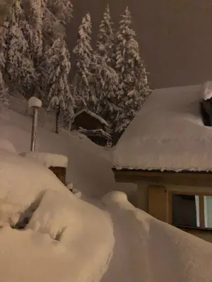a yard covered in snow with trees in the background at 