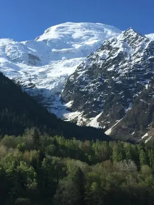 a snow covered mountain with trees in front of it at Appartement face au Mont Blanc & Glaciers in Chamonix-Mont-Blanc