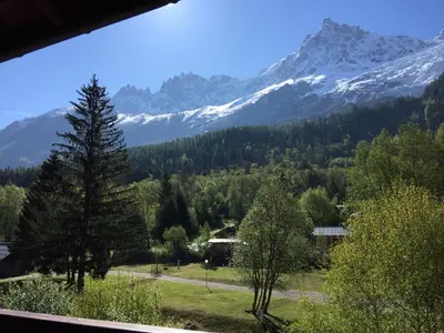 a view of a mountain range with a tree at Appartement face au Mont Blanc & Glaciers in Chamonix-Mont-Blanc