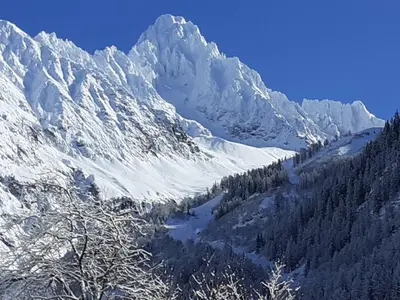a snow covered mountain with trees in front of it at Chalets Pyrene Mont-Blanc in Chamonix-Mont-Blanc