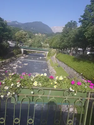 a view of a river with flowers at Studio Duplex Place de la Grenette in Sallanches