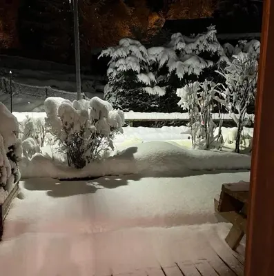 a yard covered in snow with trees and bushes at les Cimes d'Or Mont blanc in Les Contamines-Montjoie