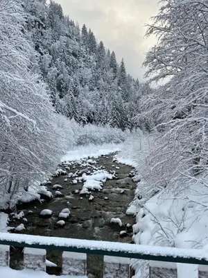 a river covered in snow next to a forest at les Cimes d'Or Mont blanc in Les Contamines-Montjoie