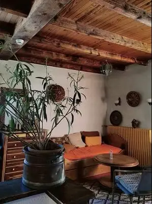 a room with a bed and a potted plant at La Gelinotte in Les Contamines-Montjoie