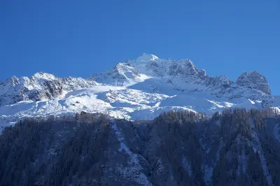 a mountain covered in snow and trees at Chalet * Lioutraz * in Chamonix-Mont-Blanc
