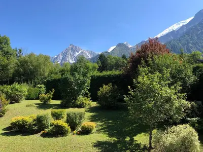 a garden with trees and bushes with mountains in the background at Appartement Les Clarines in Les Houches