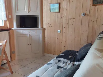 a living room with a couch and a tv at Studio rénové 16m2, terrasse, animaux admis, parking, près télécabine Brévent - FR-1-517-3 in Chamonix-Mont-Blanc