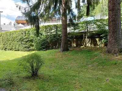 a group of trees in a field with grass at Studio rénové 16m2, terrasse, animaux admis, parking, près télécabine Brévent - FR-1-517-3 in Chamonix-Mont-Blanc