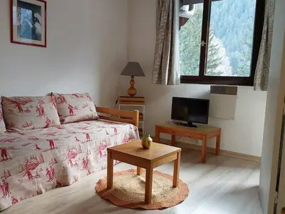 a living room with a couch and a tv at Charmant 2 Pièces Chamonix, 4 Pers, Animaux Ok, Parking - FR-1-517-18 in Chamonix-Mont-Blanc
