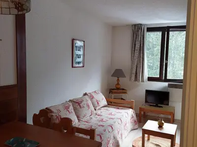 a living room with a couch and a tv at Charmant 2 Pièces Chamonix, 4 Pers, Animaux Ok, Parking - FR-1-517-18 in Chamonix-Mont-Blanc
