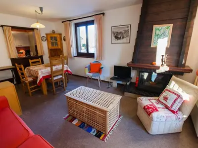 a living room with a couch and a fireplace at 2 Pièces Vue Mont Blanc avec Balcon - Chamonix, Animaux acceptés - FR-1-517-19 in Chamonix-Mont-Blanc