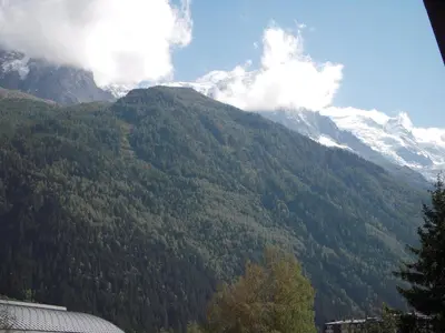 a view of a mountain with trees and snow at 2 Pièces à Chamonix, Vue Mont-Blanc, Animaux admis, Parking - FR-1-517-26 in Chamonix-Mont-Blanc