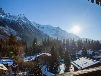 a view of a town with a snowy mountain at Studio Charmant avec Vue Mont Blanc, Parking et Animaux Admis - FR-1-517-35 in Chamonix-Mont-Blanc