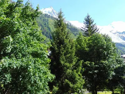 a group of trees with mountains in the background at Studio Chamonix 20m², 4 pers, balcon, parking - FR-1-517-40 in Chamonix-Mont-Blanc
