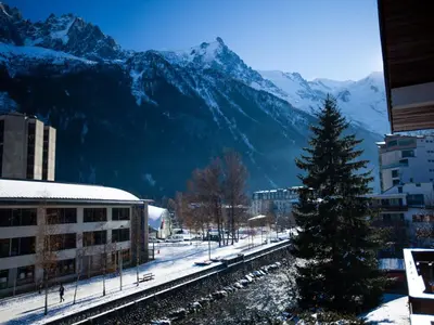 a train station with a pine tree and snowy mountains at Studio Chamonix 5 pers, balcon, parking, animaux ok - FR-1-517-45 in Chamonix-Mont-Blanc