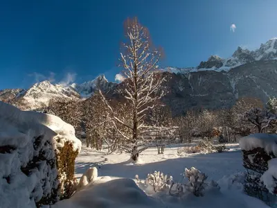 a tree in the snow with mountains in the background at Superbe 3 pièces Chamonix - Jardin privé - Parking - Animaux admis - FR-1-517-25 in Chamonix-Mont-Blanc