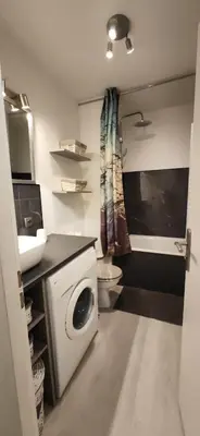 a laundry room with a washing machine and a sink at Le petit Chamois in Saint-Gervais-les-Bains