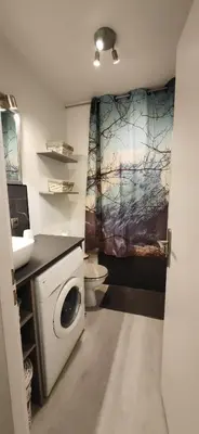 a bathroom with a washing machine and a sink at Le petit Chamois in Saint-Gervais-les-Bains