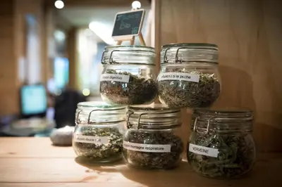 four glass jars filled with herbs on a table at Chalet-Hôtel La Chemenaz in Les Contamines-Montjoie