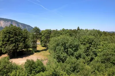 an overhead view of a forest of trees at Duplex 6 Pers centre station Carroz (SA315) in Les Carroz d'Araches