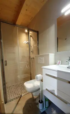 a bathroom with a shower and a toilet and a sink at Le camp de base in Chamonix-Mont-Blanc