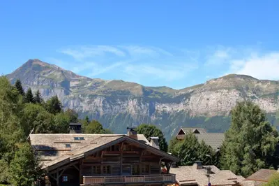 an aerial view of a village in the mountains at BA112 Studio 4 Pers Pied de pistes Carroz in Les Carroz d'Araches