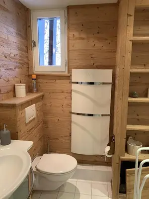 a bathroom with a toilet and a sink at CX116 - Duplex 6 pers Pied de pistes in Les Carroz d'Araches