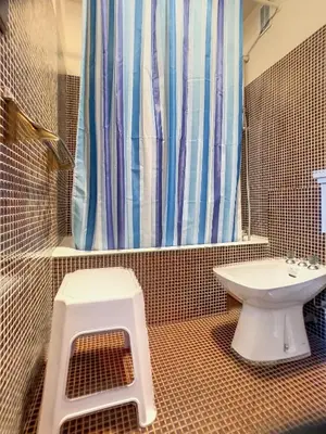 a bathroom with a toilet and a shower curtain at SL127 - 2 Pièces 4 Pers centre Carroz in Les Carroz d'Araches