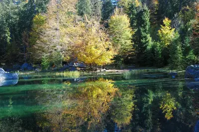 a view of a lake with trees in the background at Face Mont-Blanc in Passy