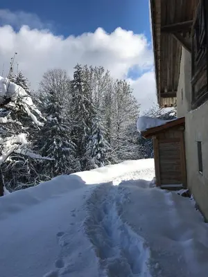 a snow covered path next to a house with trees at La ferme des ours in Saint-Gervais-les-Bains