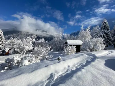 a snow covered yard with a cabin and trees at Chalet Mountain Vibes in Les Houches