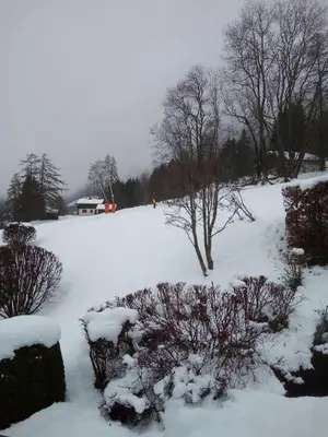 a snow covered field with trees and a house at La clé des montagnes in Les Houches