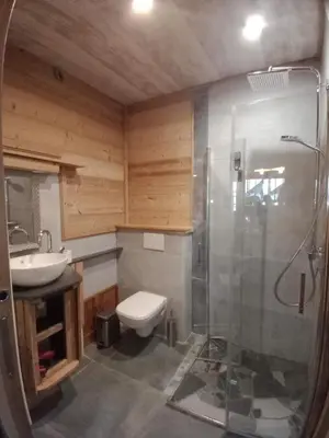 a bathroom with a shower and a toilet and a sink at LA FERME DU FAY in Sixt