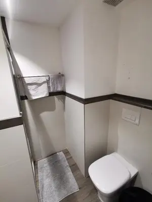 a small bathroom with a toilet and a towel at Le Mallory in Chamonix-Mont-Blanc