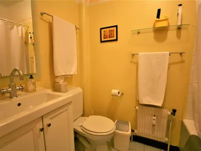 a bathroom with a white toilet and a sink at Charmant T2 Chamonix avec balcon, accepte animaux - FR-1-507-45 in Chamonix-Mont-Blanc