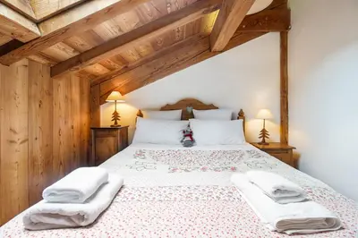 a bathroom with a shower and a toilet at Chalet Taconnaz - Warm & Cosy 3BR Chalet with Fireplace in Nature - By Cozee Rentals in Les Houches