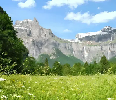 a field of grass with a mountain in the background at Chalet cosy à Sixt-Fer-à-Cheval avec vue sur la montagne in Sixt