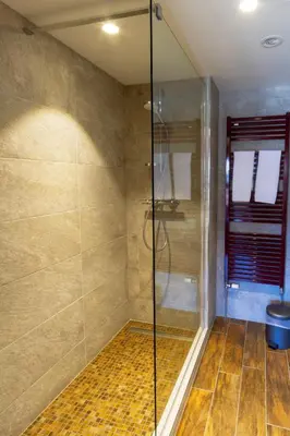 a shower with a glass door in a bathroom at Hotel Le Christiania in Les Contamines-Montjoie