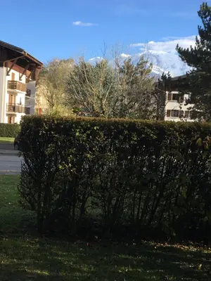 a hedge in the grass in front of a building at MONT BLANC HOLIDAYS dans résidence avec Gardien in Sallanches