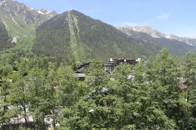 a train traveling through a mountain valley with trees at Appt cosy au centre de Chamonix in Chamonix-Mont-Blanc