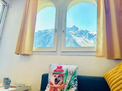 a pillow with a dog wearing a hat and skis at Appt cosy au centre de Chamonix in Chamonix-Mont-Blanc