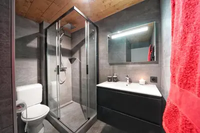a bathroom with a shower and a sink and a toilet at La Ménandière in Megève
