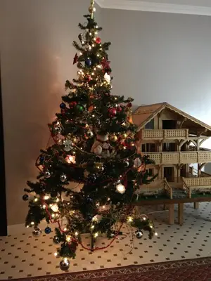 a christmas tree in front of a house at Nant d Ant in Samoëns